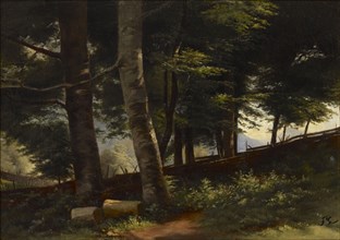 Inside the Forest, 1871-1872. Creator: Fanny Churberg.