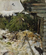 Spruces in a Farmyard, 1887. Creator: Akseli Gallen-Kallela.