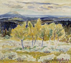 Lapland Mountain Birches, 1943. Creator: Kullervo Koivisto.