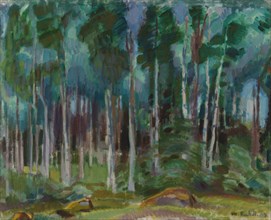 Birches in Vaaksy, 1919. Creator: Magnus Enckell.