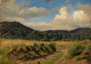 Cornfield at the edge of the forest, exercise, 1854. Creator: Werner Holmberg.