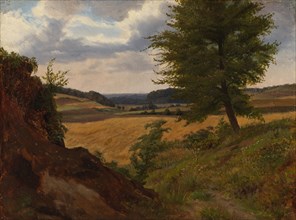 Tree in Field Landscape, Study, 1854. Creator: Werner Holmberg.