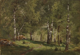 Birch Grove, 1865. Creator: Hjalmar Munsterhjelm.