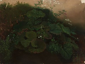 Plants, exercise, 1835-1853. Creator: Nils Jakob Blommer.