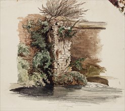 Brick wall and climbing plant, 1848-1860. Creator: Werner Holmberg.