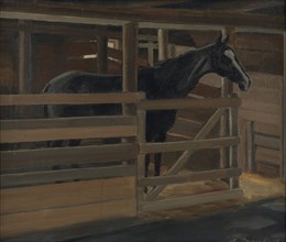 Jallu the black horse in his stall, 1929. Creator: Alexander Paischeff.