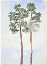 Two pine trees. Creator: Maria Wiik.