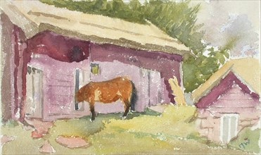 A horse by the shed. Creator: Maria Wiik.