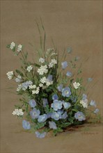 Wildflowers with forget-me-nots, 1893. Creator: Chittenden, Alice Brown (1859-1944).