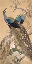 A Pair of Peacocks in Spring, 1901. Creator: Keinen, Imao (1845-1924).