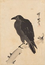 Crow on a Branch, c 1870. Creator: Kyosai, Kawanabe  .