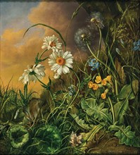 Forest ground with daisies, primroses and dandelions, 1858. Creator: Petter, Franz Xaver (1791-1866).