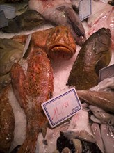 Fish at La Bouqueria, Barcelona, Spain, 2020. Creator: Ethel Davies.