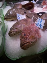 Fish at La Bouqueria, Barcelona, Spain, 2020. Creator: Ethel Davies.