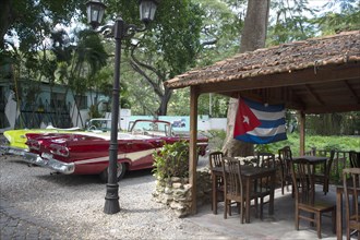 Old American cars and the Cuban flag at the Bosque, Havana, Cuba, 2024. Creator: Ethel Davies.