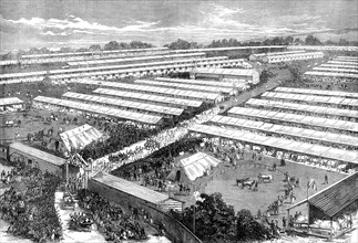 The Irish Royal Agricultural Society's Show at Dublin, 1871. Creator: Unknown.