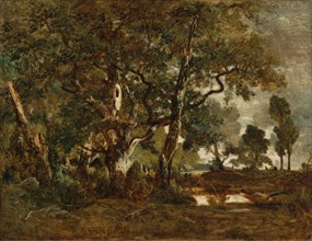 Forest of Fontainebleau, Cluster of Tall Trees Overlooking the Plain of Clair..., about 1849-1852. Creator: Theodore Rousseau.