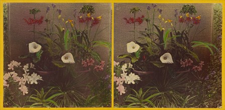 An array of flowers, about 1865-1875. Creator: Benjamin West Kilburn.