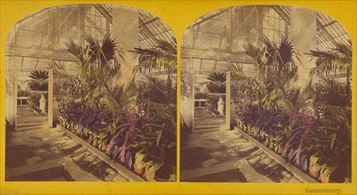 Conservatory. The President's House, Washington, D.C., 1873. Creators: C. Seaver, Jr., Charles Pollock.