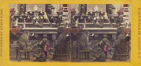 The Bar. - Where Justice is dispensed with., 1870. Creator: Eugene S. M. Haines.