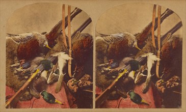 Still life with various dead fowl and rifle, about 1860. Creator: Joseph John Elliott.