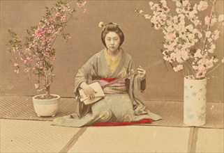 Geisha Playing Samisen, 1897. Creator: Ogawa Kazumasa.