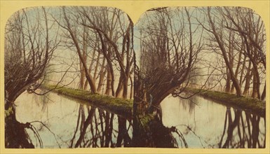 A View on the River Lea, In Essex, about 1860. Creator: London Stereoscopic & Photographic Co.