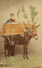 Unidentified man with mule carrying baskets of food, 1870s. Creator: Marittima.