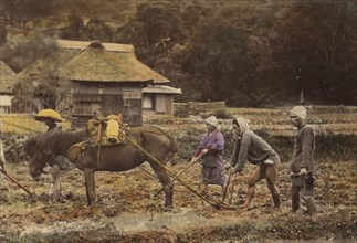 Ploughing, about 1873-1883. Creator: Shinichi Suzuki I.