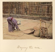 Drying the Rice, about 1873-1883. Creator: Shinichi Suzuki I.