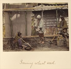 Sowing Wheat Seed, about 1873-1883. Creator: Shinichi Suzuki I.