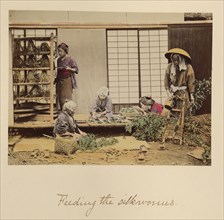 Feeding the silkworms, about 1873-1883. Creator: Shinichi Suzuki I.