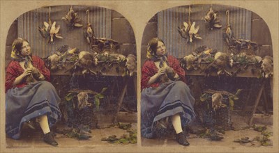 Young woman seated by table with dead fowl, rabbits, etc., about 1860. Creator: Unknown.