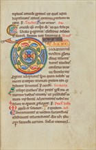 Decorated Initial D; Stammheim Missal, probably 1170s. Creator: Unknown.