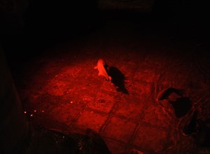 Basilica Cistern, Istanbul, Turkey, 2013.  Creator: LTL.