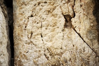 Detail of Western Wall, Jerusalem, Israel, 2013. Creator: LTL.