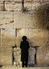 A Jew praying at the Western Wall, Jerusalem, Israel, 2013.  Creator: LTL.