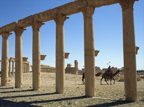 Colonnade, ruins of Palmyra, Syria, 3rd century (2001).  Creator: LTL.