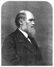 Mr. C. R. Darwin, author of "The Origin of Species'', 1871. Creator: Unknown.