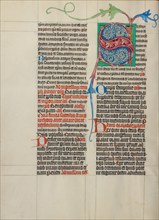 Decorated Initial S; Collegium Ducale, about 1420-1430. Creator: Master Michael.