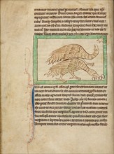 Ostriches; Northumberland Bestiary, about 1250-1260. Creator: Unknown.