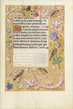 Decorated Text Page; Spinola Hours, about 1510-1520. Creator: Unknown.