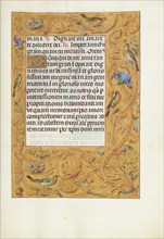 Decorated Text Page; Spinola Hours, about 1510-1520. Creator: Unknown.