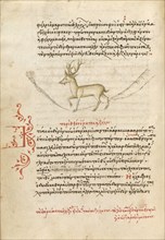 A Stag, 1510-1520. Creator: Unknown.