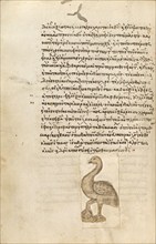 A Crane, 1510-1520. Creator: Unknown.