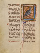 A Vulture; Bestiary, about 1270. Creator: Unknown.