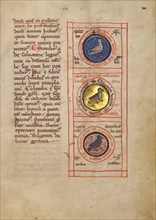 Three Medallions with Doves; Bestiary, about 1270. Creator: Unknown.