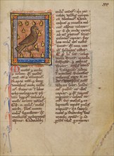 A Night Heron; Bestiary, about 1270. Creator: Unknown.