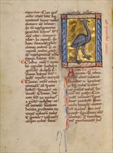 A Heron; Bestiary, about 1270. Creator: Unknown.