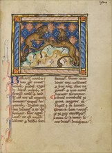 Two Lions; Bestiary, about 1270. Creator: Unknown.